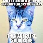 Displeased Cat | WHEN A TEAM MATE WITHA LIL SENIORITY CHECKS YOUR STATS THEN ACTS LIKE YOUR BOSS | image tagged in displeased cat | made w/ Imgflip meme maker