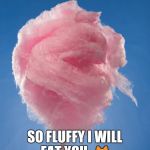 cotton candy | SO FLUFFY I WILL EAT YOU.  | image tagged in cotton candy | made w/ Imgflip meme maker