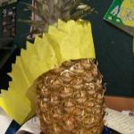 ott party pineapple