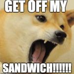 angry doge | GET OFF MY SANDWICH!!!!!! | image tagged in angry doge | made w/ Imgflip meme maker