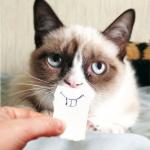Grumpy cat smile meme