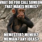 Let the argument commence. (I'm going for "memester" but feel free...) | WHAT DO YOU CALL SOMEONE THAT MAKES MEMES? MEMESTER? MEMER? MEMIAN? ANY IDEAS? | image tagged in questioning monkey,memes | made w/ Imgflip meme maker