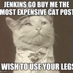 Aristocat | JENKINS GO BUY ME THE MOST EXPENSIVE CAT POST I WISH TO USE YOUR LEGS | image tagged in aristocat | made w/ Imgflip meme maker