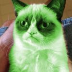 Radioactive Grumpy | YOU MIGHT WANT TO CHANGE MY LITTERBOX | image tagged in radioactive grumpy,grumpy cat,memes | made w/ Imgflip meme maker