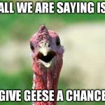 Happy Thanksgiving | ALL WE ARE SAYING IS GIVE GEESE A CHANCE | image tagged in turkey,thanksgiving | made w/ Imgflip meme maker