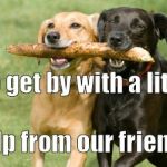 Dogs | Help from our friends. We get by with a little | image tagged in dogs | made w/ Imgflip meme maker
