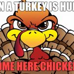 Angry Turkey | WHEN A TURKEY IS HUNGRY COME HERE CHICKEN!! | image tagged in angry turkey | made w/ Imgflip meme maker