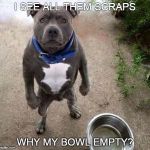 Hungry Dog | I SEE ALL THEM SCRAPS WHY MY BOWL EMPTY? | image tagged in hungry dog | made w/ Imgflip meme maker