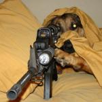 sniper dog