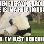 Panda Fail | WHEN EVERYONE AROUND ME IS IN A RELATIONSHIP AND, I'M JUST HERE LIKE... | image tagged in panda fail | made w/ Imgflip meme maker