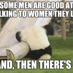 Panda Fail | SOME MEN ARE GOOD AT TALKING TO WOMEN THEY LIKE ... AND, THEN THERE'S ME | image tagged in panda fail | made w/ Imgflip meme maker
