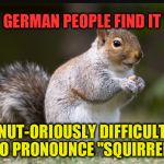 Googol's useless fact #1 (I'm going to do a load of these) | NUT-ORIOUSLY DIFFICULT TO PRONOUNCE "SQUIRREL" GERMAN PEOPLE FIND IT | image tagged in squirrel,googol's useless facts,googol,germans | made w/ Imgflip meme maker