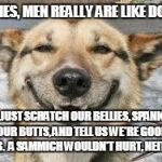 Smiling Dog | LADIES, MEN REALLY ARE LIKE DOGS! JUST SCRATCH OUR BELLIES, SPANK OUR BUTTS, AND TELL US WE'RE GOOD BOYS.  A SAMMICH WOULDN'T HURT, NEITHER! | image tagged in smiling dog | made w/ Imgflip meme maker