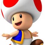 Cute toad