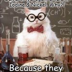 Iranian Chemists! | Iranian chemists prefer Sulfur, Hydrogen, Iridium, Iodine & Nickel. Why?! Because they want "SHIrINi" | image tagged in chemistry cat,funny,chemistry,elements | made w/ Imgflip meme maker