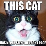 whoa cat | THIS CAT HAS NEVER SEEN THE FRONT PAGE | image tagged in whoa cat | made w/ Imgflip meme maker