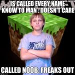 LOGIC | IS CALLED EVERY NAME KNOW TO MAN : DOESN'T CARE CALLED NOOB: FREAKS OUT | image tagged in scumbag minecraft kid | made w/ Imgflip meme maker