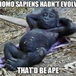 how I look when I get "meme block!" | IF HOMO SAPIENS HADN'T EVOLVED THAT'D BE APE | image tagged in chilled chimp | made w/ Imgflip meme maker