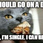 Cat-eating | I SHOULD GO ON A DIET NAH, I'M SINGLE. I CAN BE FAT | image tagged in cat-eating | made w/ Imgflip meme maker