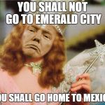 Glinda Trump | YOU SHALL NOT GO TO EMERALD CITY YOU SHALL GO HOME TO MEXICO | image tagged in glinda trump | made w/ Imgflip meme maker