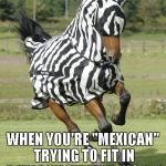Can't we all just get along? | WHEN YOU'RE "MEXICAN" TRYING TO FIT IN A "BLACK/WHITE" WORLD | image tagged in horse in zebra suit,funny,funny animals,animals,zebra | made w/ Imgflip meme maker