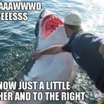 Sharks will be sharks | OH GAAAWWWD YEEESSS NOW JUST A LITTLE HIGHER AND TO THE RIGHT | image tagged in shark soother,shark,funny,funny animals,animals | made w/ Imgflip meme maker