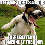 My dog when i play the knock knock joke | NEXT TIME THERE'S A KNOCK THERE BETTER BE SOMEONE AT THE DOOR | image tagged in angry dogs | made w/ Imgflip meme maker