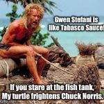 Forest Gump | Gwen Stefani is like Tabasco Sauce! If you stare at the fish tank, My turtle frightens Chuck Norris. | image tagged in gwen stefani,chuck norris,tabasco sauce,turtle,iamjacksrabbit,look at me | made w/ Imgflip meme maker