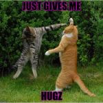 Cat Fight | JUST GIVES ME HUGZ | image tagged in cat fight | made w/ Imgflip meme maker