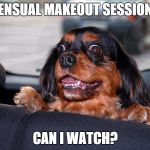 Can I Watch? | SENSUAL MAKEOUT SESSION? CAN I WATCH? | image tagged in can i watch | made w/ Imgflip meme maker