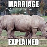 MARRIAGE EXPLAINED | image tagged in memes,meme,marriage,funny animals,morph | made w/ Imgflip meme maker