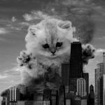 apocalypse kitten cat city meme