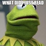 Kermit The Frog | WHAT DID I JUST READ | image tagged in kermit the frog | made w/ Imgflip meme maker