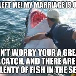 Shark Soother | SHE LEFT ME! MY MARRIAGE IS OVER! DON'T WORRY YOUR A GREAT CATCH, AND THERE ARE PLENTY OF FISH IN THE SEA | image tagged in shark soother,animals,funny animals | made w/ Imgflip meme maker