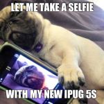 Pugs | LET ME TAKE A SELFIE WITH MY NEW IPUG 5S | image tagged in pugs | made w/ Imgflip meme maker
