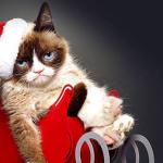 Christmas Grumpy Cat