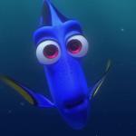 Dory