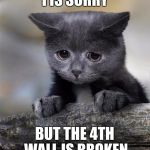 Confession Cat | I IS SORRY BUT THE 4TH WALL IS BROKEN | image tagged in confession cat | made w/ Imgflip meme maker