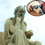 Socrates Raydog meme