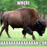 Bison biscuits | WHERE MAAAAAAAAAAAAAAH CORN | image tagged in bison biscuits | made w/ Imgflip meme maker