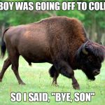 Bison biscuits | MY BOY WAS GOING OFF TO COLLEGE SO I SAID, "BYE, SON" | image tagged in bison biscuits | made w/ Imgflip meme maker