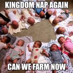 lots of babies | KINGDOM NAP AGAIN CAN WE FARM NOW | image tagged in lots of babies | made w/ Imgflip meme maker