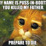 puss in boots | MY NAME IS PUSS-IN-BOOTS. YOU KILLED MY FATHER. PREPARE TO DIE. | image tagged in puss in boots | made w/ Imgflip meme maker