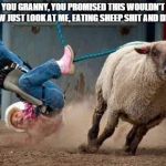 sheep  busting | DAMN YOU GRANNY, YOU PROMISED THIS WOULDN'T HURT, NOW JUST LOOK AT ME, EATING SHEEP SHIT AND DIRT! | image tagged in sheep  busting | made w/ Imgflip meme maker