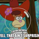 Well, That Ain't Surprisin'! | WELL, THAT AIN'T SURPRISIN'! | image tagged in sandy cheeks,confused,spongebob squarepants,cowboy hat,memes,cowgirl | made w/ Imgflip meme maker