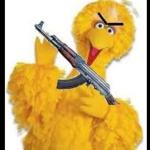 Angry Big Bird meme