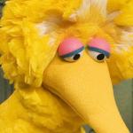 Sad Big Bird