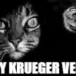 cat black and white | FREDDY KRUEGER VERSION | image tagged in cat black and white | made w/ Imgflip meme maker