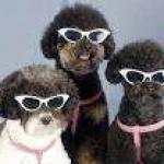 Raydogs sisters