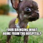 It's GO Time! | YOUR BRINGING WHAT HOME FROM THE HOSPITAL? | image tagged in it's go time | made w/ Imgflip meme maker